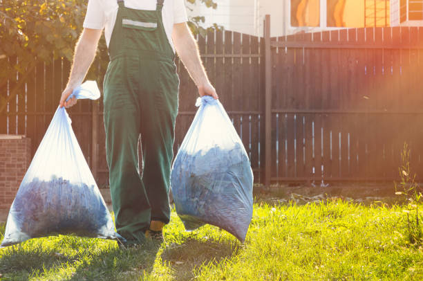 Best Shed Removal  in Trucksville, PA